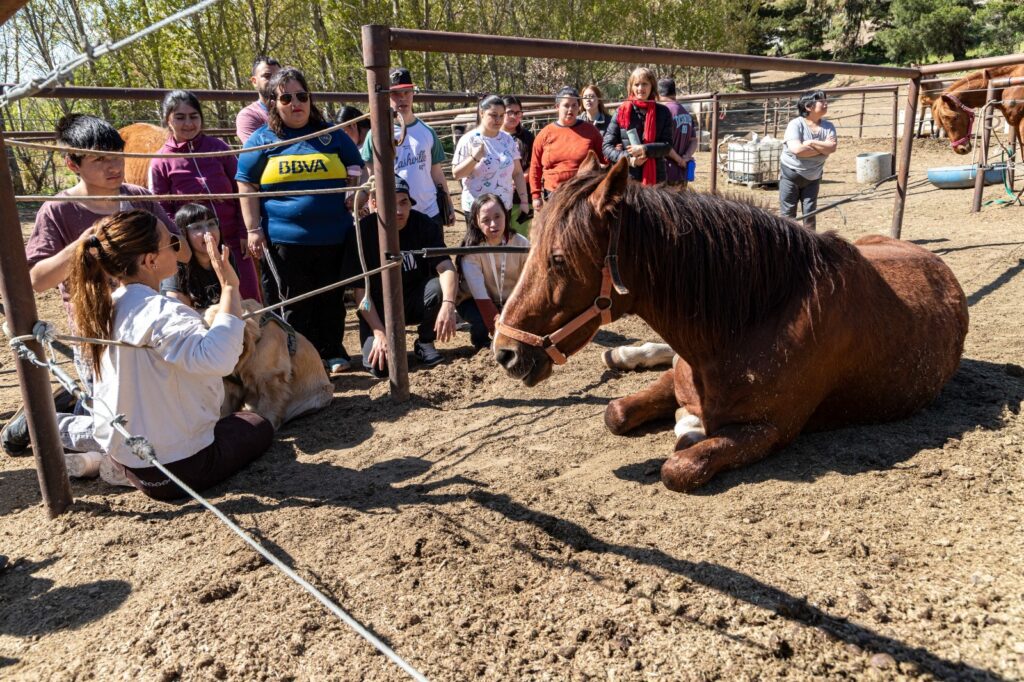 El Municipio brindó la oportunidad a jóvenes con discapacidad de experimentar terapias asistidas con animales